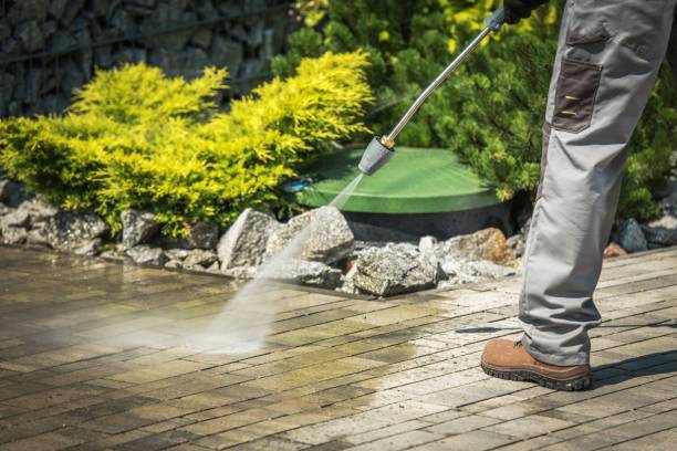 Best Fence Cleaning  in Weston, FL